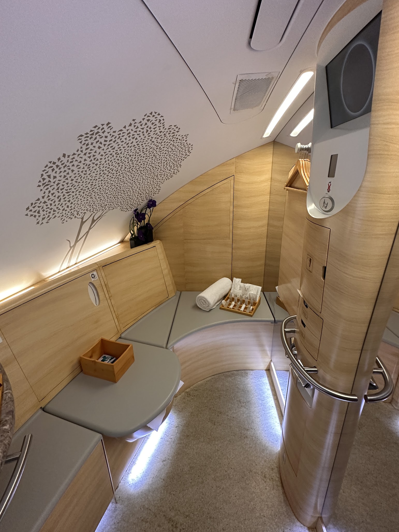 Emirates A380 - Shower area