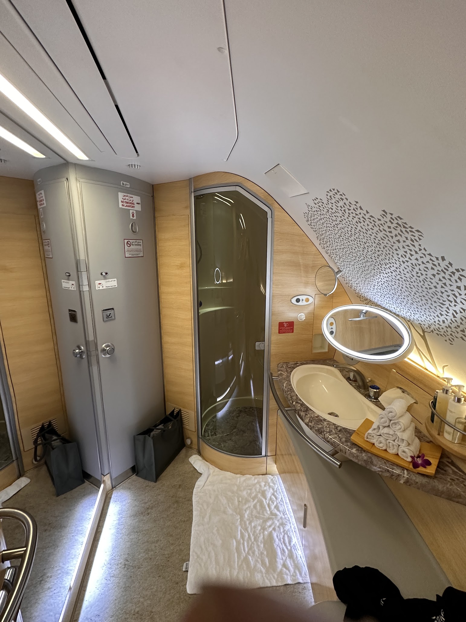 Emirates A380 - Shower area